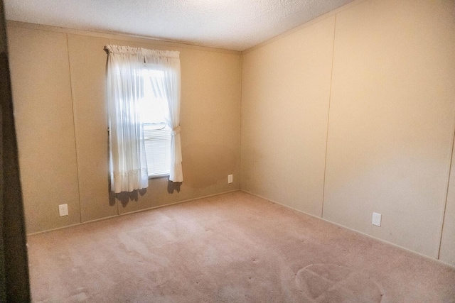 spare room with ornamental molding, carpet, and a textured ceiling