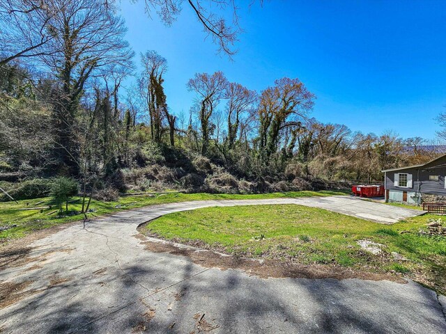 2536 Olive St, Chattanooga, TN 37406 - photo 4