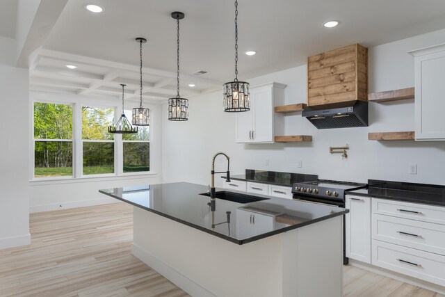 337 Hunter Trl, Trenton, GA 30752 - kitchen with open shelves, dark countertops, ventilation hood, and a sink