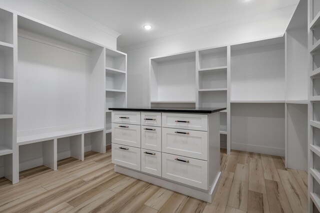 337 Hunter Trl, Trenton, GA 30752 - spacious closet with light wood-style floors