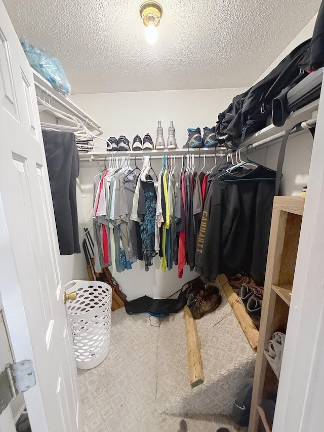 1319 Jacobs Ave, Bridgeport, AL 35740 - view of walk in closet