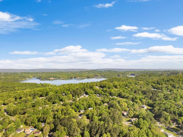 9027 Wooten Rd, Chattanooga, TN 37416 - drone / aerial view with a wooded view and a water view