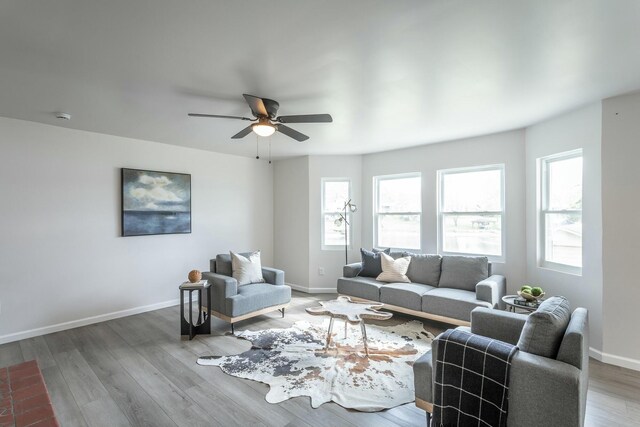 2041 Linwood Cir, Soddy Daisy, TN 37379 - living room with wood finished floors, ceiling fan, and baseboards