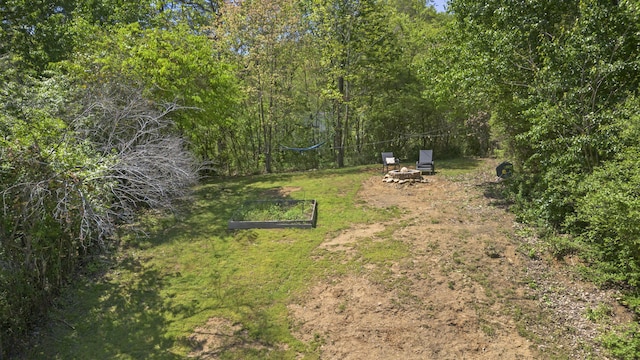 811 Snow St, Chattanooga, TN 37405 - view of yard featuring a fire pit and a garden