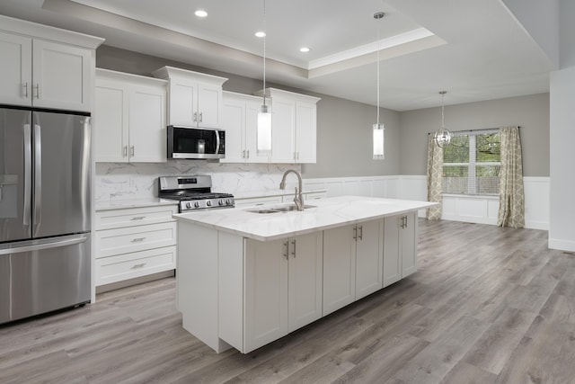 kitchen with white cabinets, a raised ceiling, a sink, stainless steel appliances, and a wainscoted wall