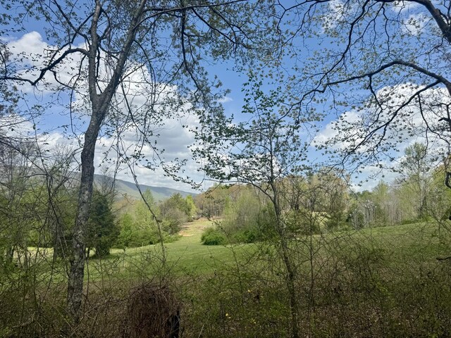 0 Lynn Ln, Whitwell, TN 37397