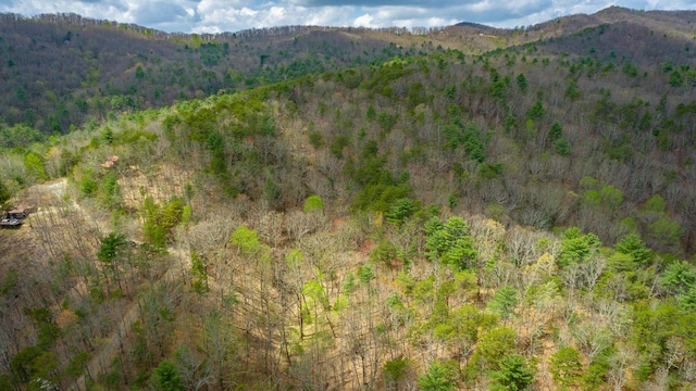 00 Grace Ct, Ellijay, GA 30540