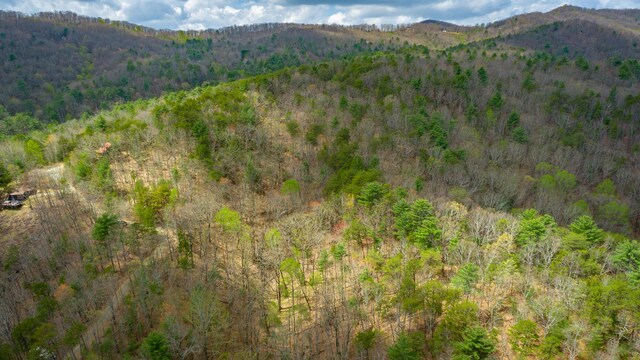00 Grace Ct, Ellijay, GA 30540