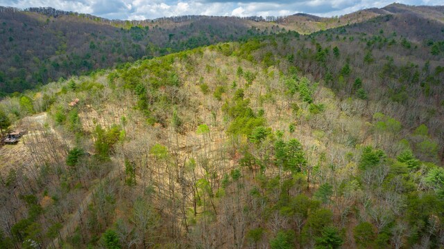 00 Grace Ct, Ellijay, GA 30540