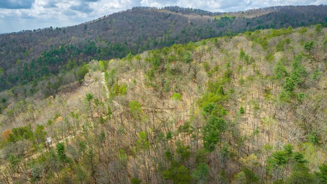 00 Grace Ct, Ellijay, GA 30540