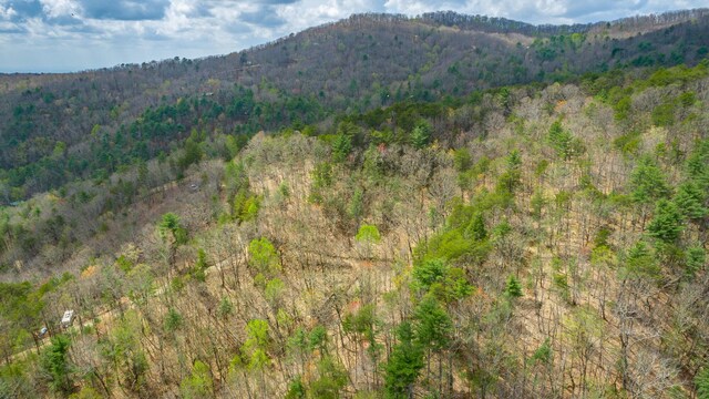 00 Grace Ct, Ellijay, GA 30540