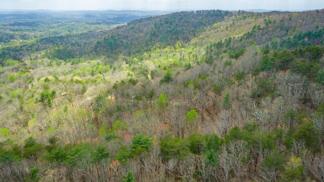 00 Grace Ct, Ellijay, GA 30540