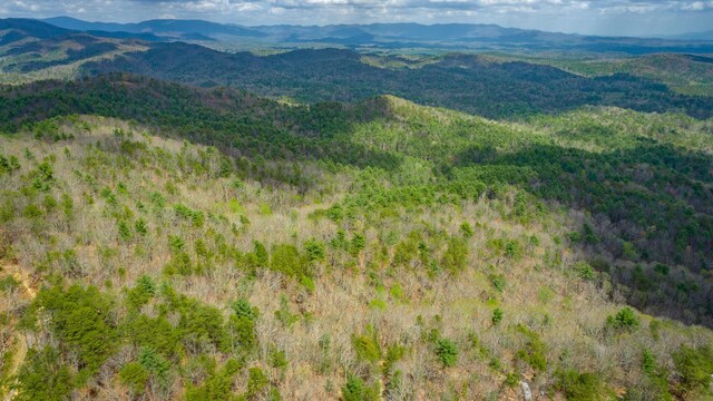 00 Grace Ct, Ellijay, GA 30540