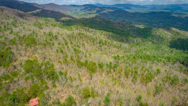 00 Grace Ct, Ellijay, GA 30540