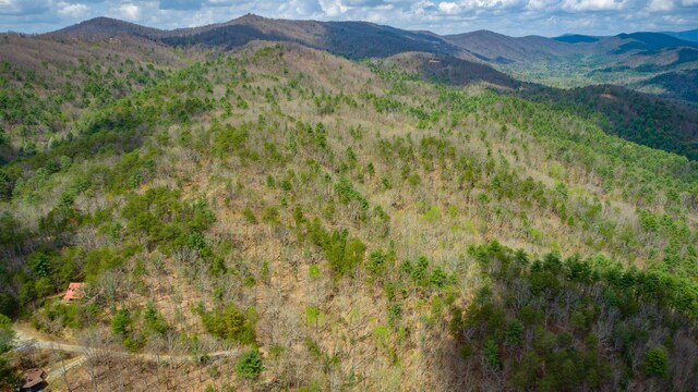 00 Grace Ct, Ellijay, GA 30540