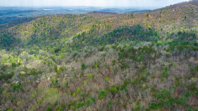 00 Grace Ct, Ellijay, GA 30540