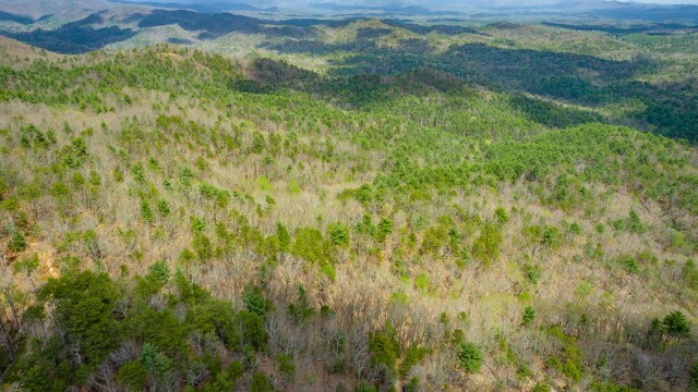 00 Grace Ct, Ellijay, GA 30540