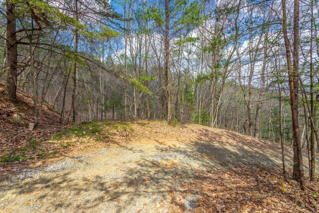 00 Grace Ct, Ellijay, GA 30540