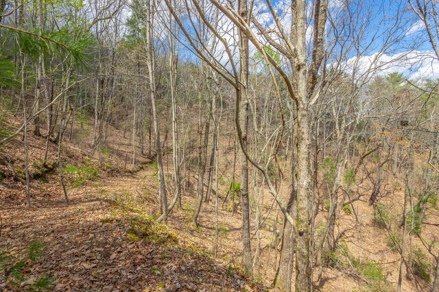 00 Grace Ct, Ellijay, GA 30540