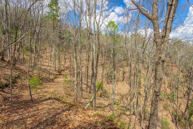 00 Grace Ct, Ellijay, GA 30540