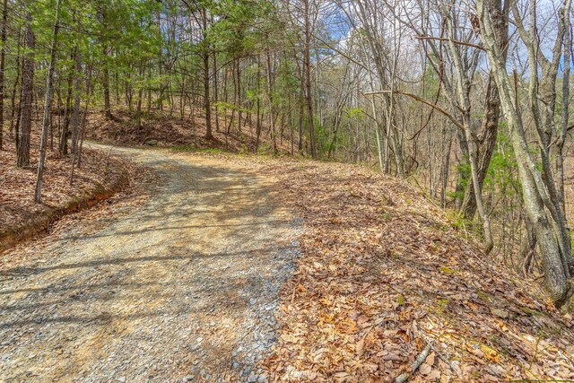 00 Grace Ct, Ellijay, GA 30540