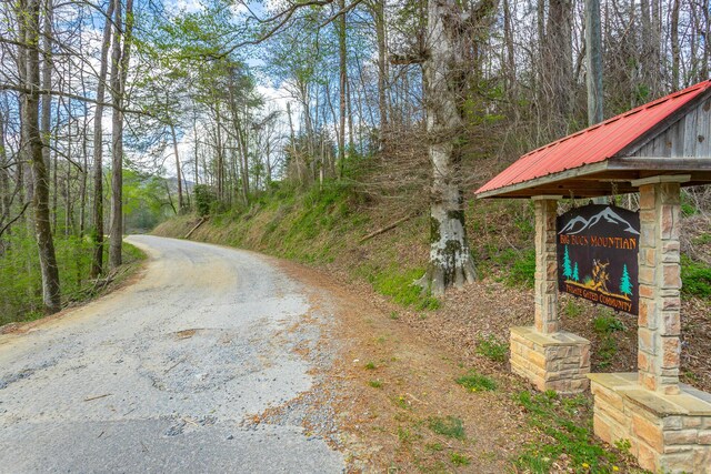 00 Grace Ct, Ellijay, GA 30540