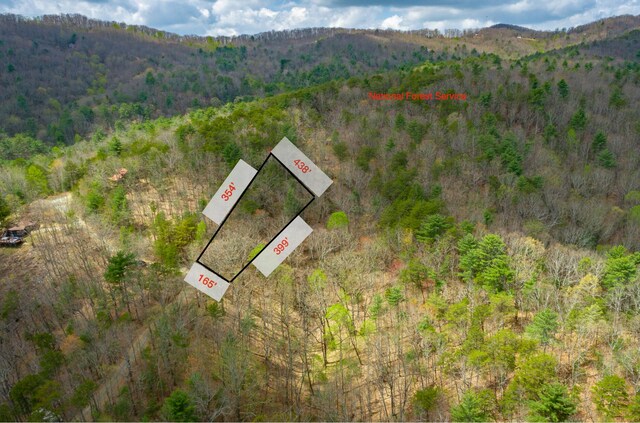 00 Grace Ct, Ellijay, GA 30540