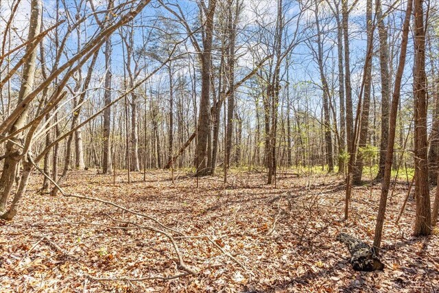255 Bible Gulf Rd, Menlo, GA 30731 - view of local wilderness featuring a wooded view