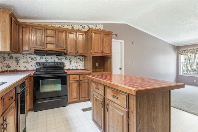 255 Bible Gulf Rd, Menlo, GA 30731 - kitchen featuring light floors, electric range, open shelves, under cabinet range hood, and lofted ceiling