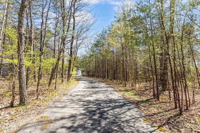 255 Bible Gulf Rd, Menlo, GA 30731 - view of road featuring a forest view