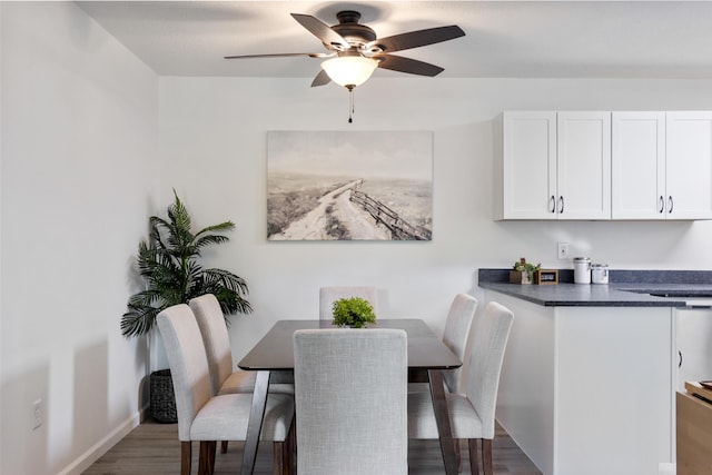 900 Mountain Creek Rd # R311, Chattanooga, TN 37405 - dining space featuring a ceiling fan and wood finished floors