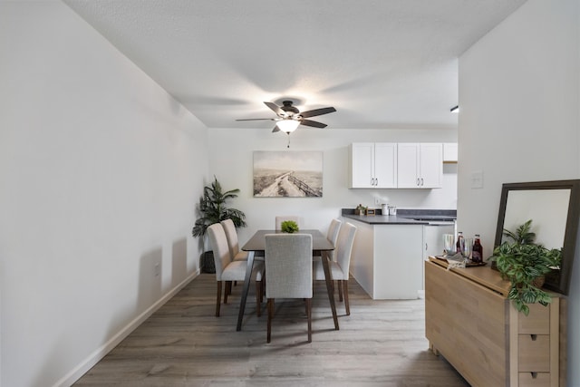 900 Mountain Creek Rd # R311, Chattanooga, TN 37405 - dining room featuring light wood-style floors and ceiling fan