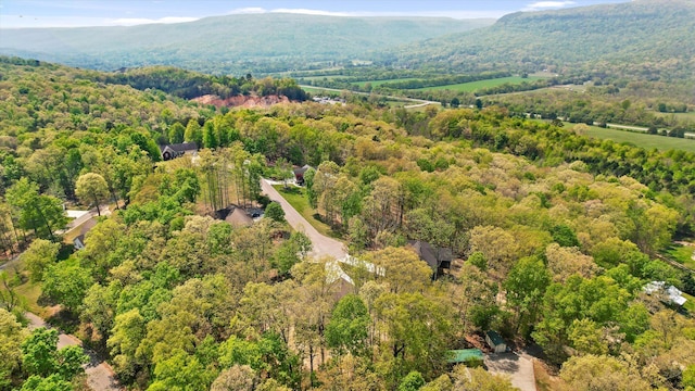birds eye view of property featuring a mountain view and a wooded view