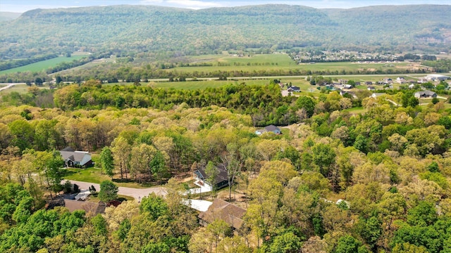 bird's eye view featuring a mountain view and a view of trees