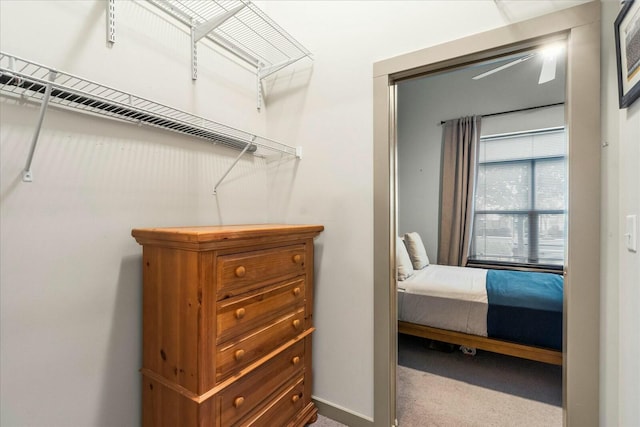 walk in closet featuring carpet floors