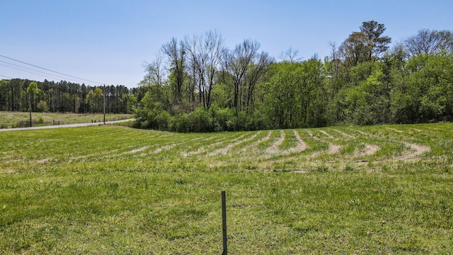 view of yard featuring a view of trees