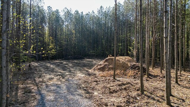 4670 Raulston Falls Rd, Jasper, TN 37347
