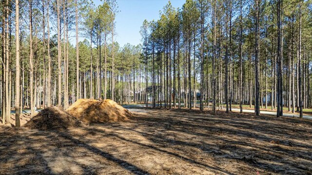 4670 Raulston Falls Rd, Jasper, TN 37347