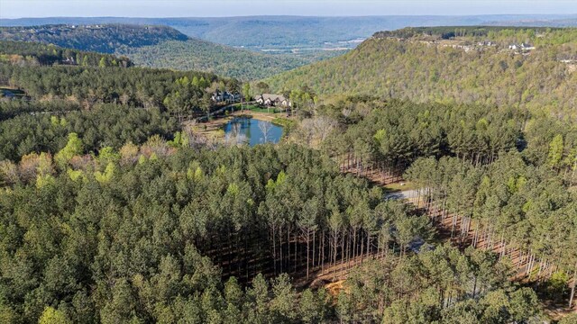 4670 Raulston Falls Rd, Jasper, TN 37347