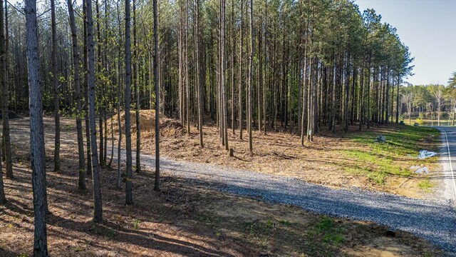 4670 Raulston Falls Rd, Jasper, TN 37347