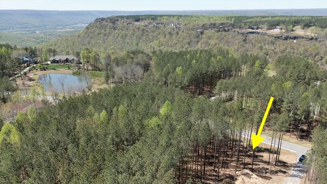 4670 Raulston Falls Rd, Jasper, TN 37347