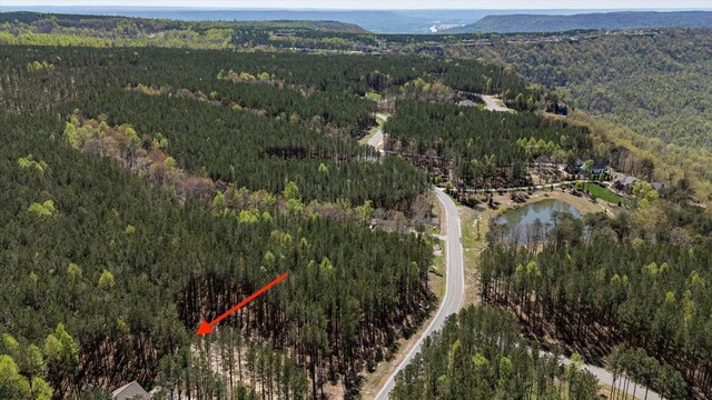 4670 Raulston Falls Rd, Jasper, TN 37347