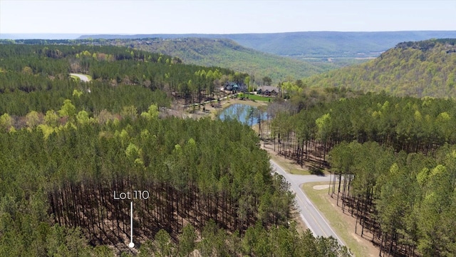 4670 Raulston Falls Rd, Jasper, TN 37347