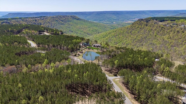 4670 Raulston Falls Rd, Jasper, TN 37347