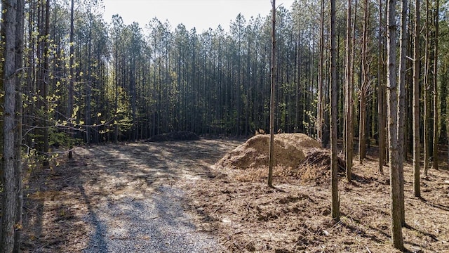 4670 Raulston Falls Rd, Jasper, TN 37347