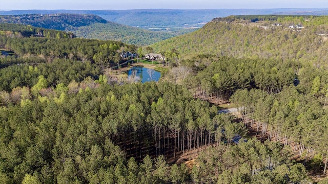 4670 Raulston Falls Rd, Jasper, TN 37347