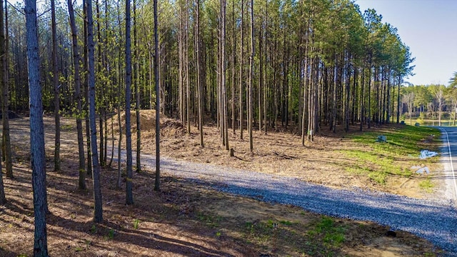 4670 Raulston Falls Rd, Jasper, TN 37347