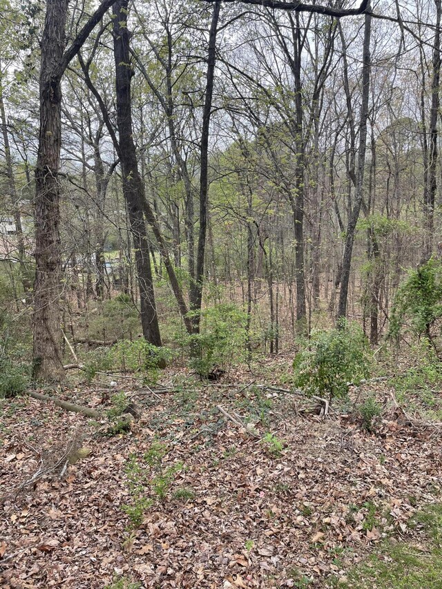 129B Gateway Ln, Rossville, GA 30741 - photo 3
