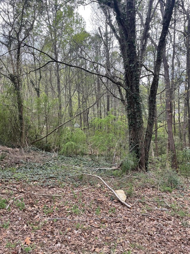 129B Gateway Ln, Rossville, GA 30741 - photo 4