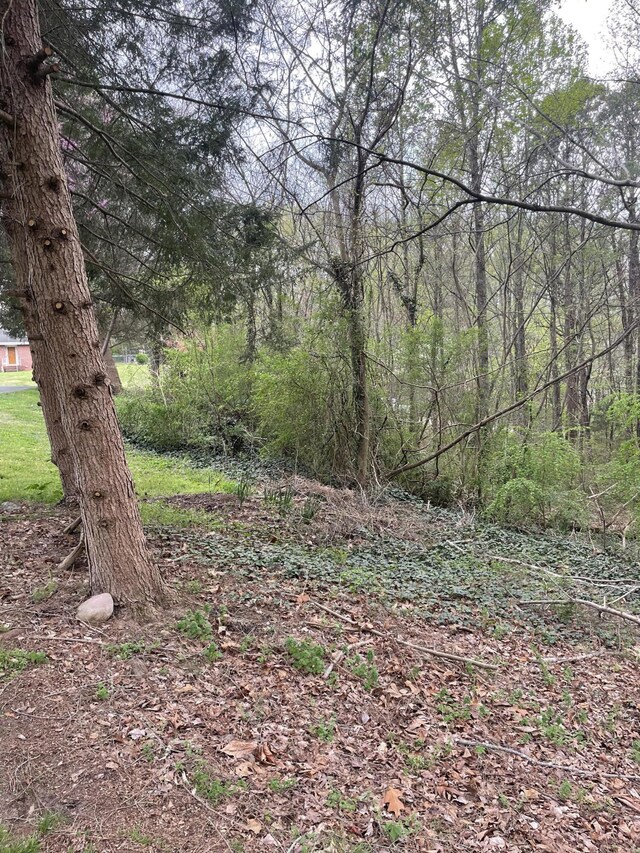 129B Gateway Ln, Rossville, GA 30741 - photo 5